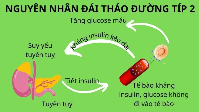 tiểu đường tuýp 2
