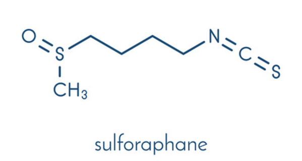Hoạt chất Sulforaphane